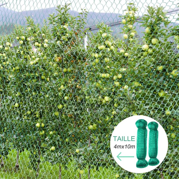 Fuglenett, 2 x 4*10m grønt fuglenett, beskyttelse av planter