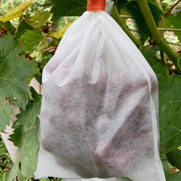 100 st Trädgårdsdruvor Fruktskyddspåse Frukt Skog Grönsak