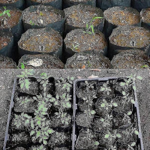 500 Stykker Plante Potte Plast Plante Formerings Beholdere 8cmx8cm