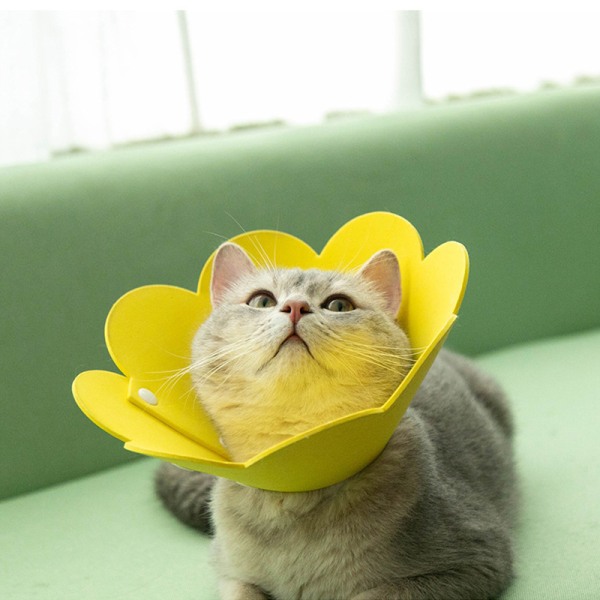 Schutzkragen Blumen Design Anti-Leck Eva Katze Schutzkragen für I