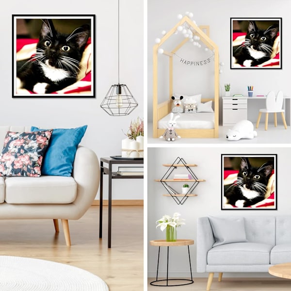 ##/5D diamantmålning-DIY-30x40cm-storögd svart katt##/