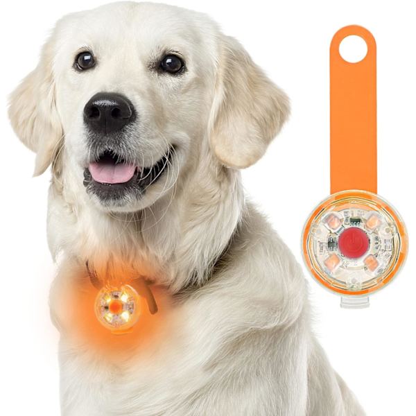 Turvallisuus LED-vilkkuvalo koirille ja kissoille - USB-ladattava LED