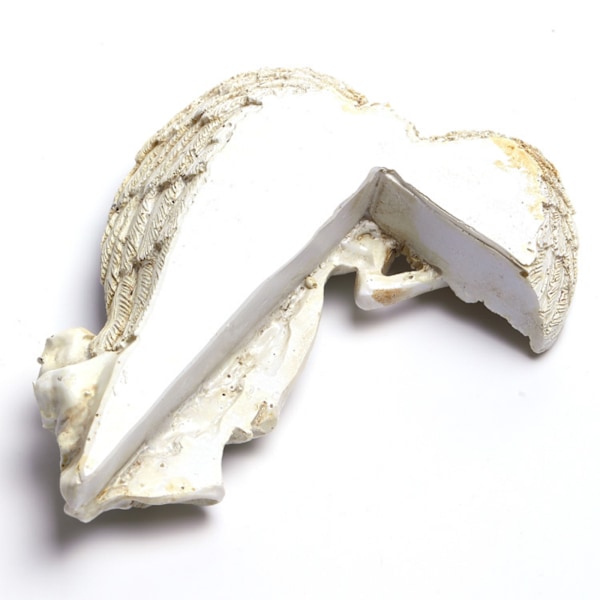 ##/Vægdekoration objekt havefigur siddende fe havedekorationer elver##/