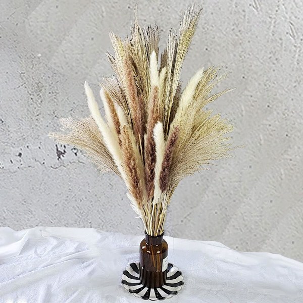 75 stykker | 20 stykker hvid pampas og 20 stykker brun pampas og