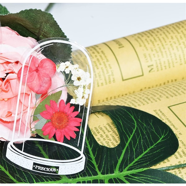 30 st Transparenta Torkade Blombokstäcken, Blombokstäcketillverkare