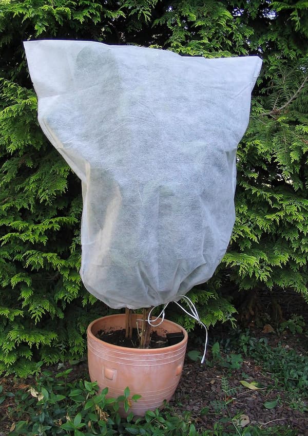 1 x 0,8 m vintertäcke i non-woven - vitt - lätt att använda - skydd