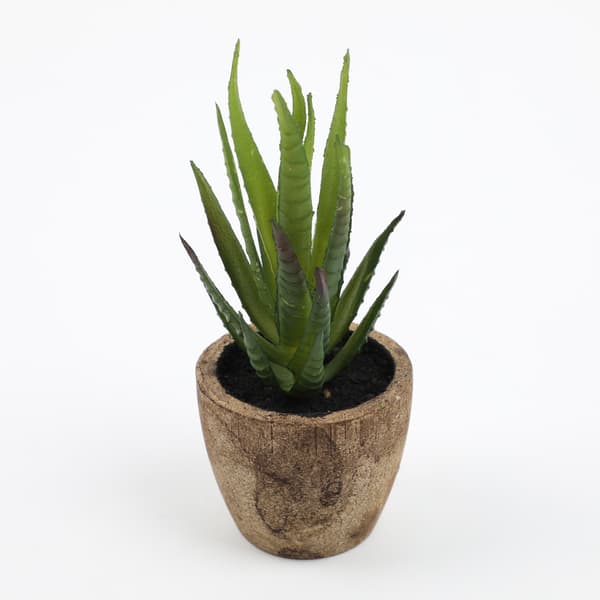 ##/Set med 2 konstgjorda plastsucculenter med blomkruka 12cm##/