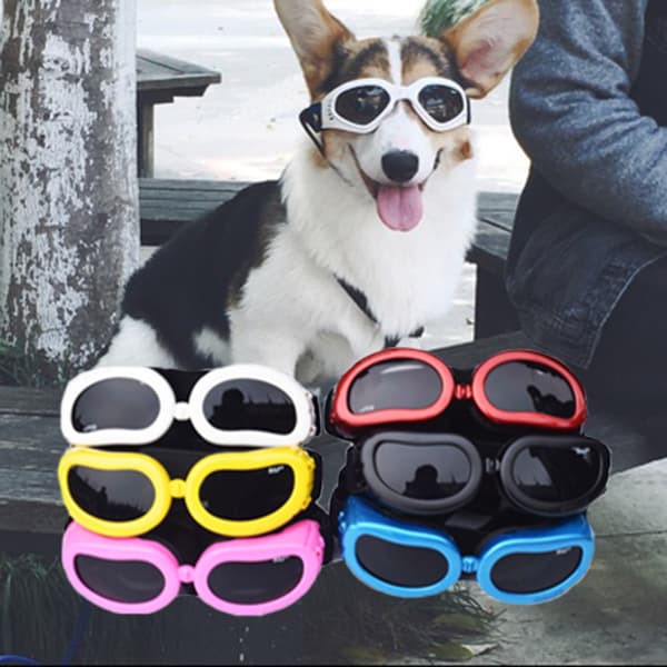 ##/Hundglasögon Djur Solglasögon Vikbara Hundglasögon UV-skydd Solglasögon##/