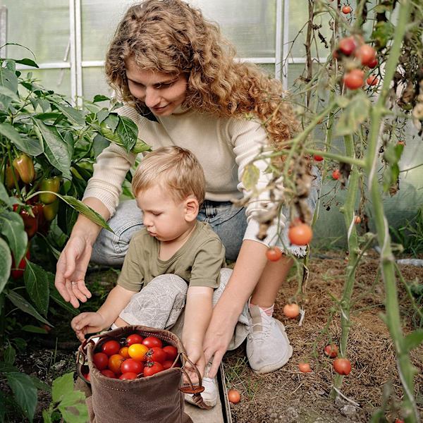 Foraging Taske, Sammenklappelig Bushcraft Taske, Voksdug Foraging P
