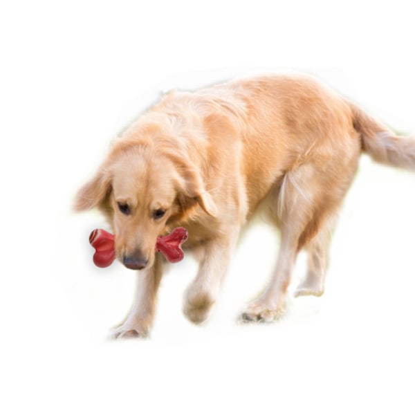 ##/Hundleksak 1 stycke Hundben Tuggborste Tandstädande Pinne##/