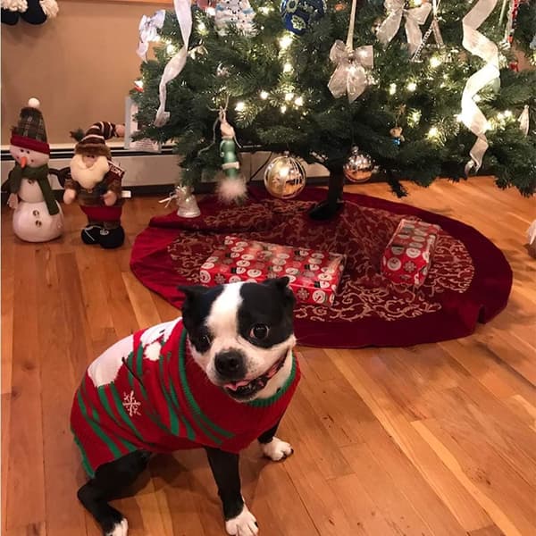 ##/Jultröja för hund, snögubbe, M, vintertröja för husdjur##/
