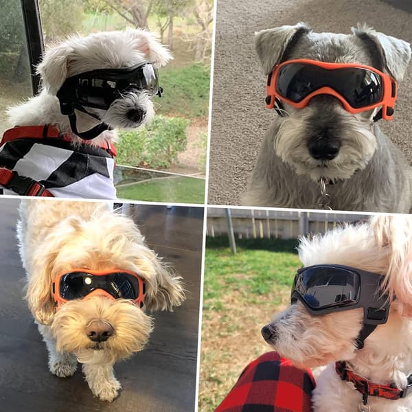 Hundebriller Anti-UV Vanntette Vindtette Justerbare Briller For Små
