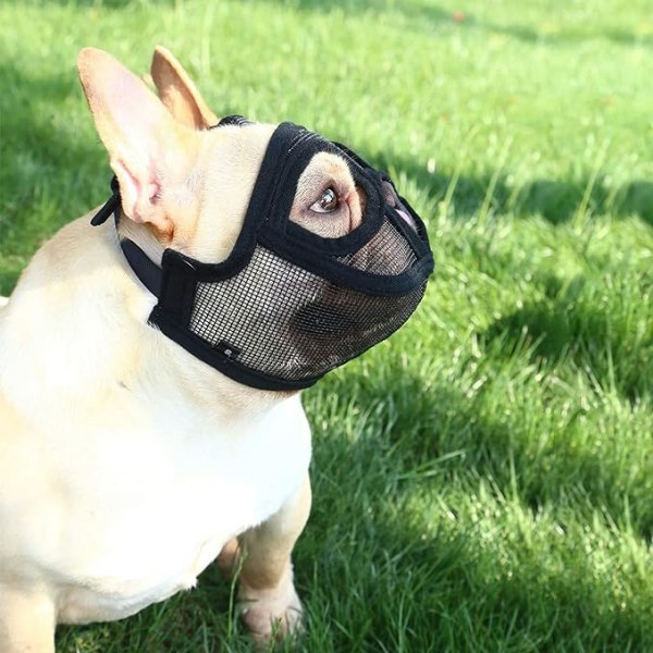 Kort snude hund katteøjenmaske (sort M), justerbar mesh Bulldog