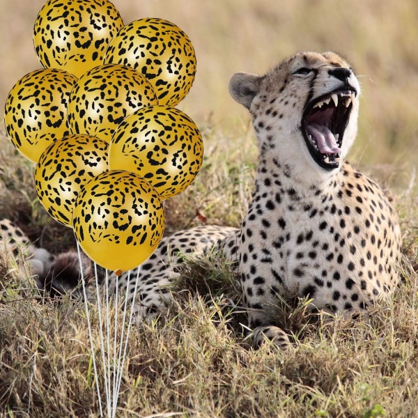 100kpl Leopardlateksiilmapallot Gepardi Ilmapallot Jungle Animal