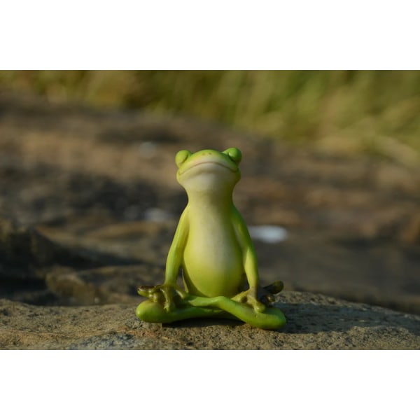 1 Pakke Collection Animal Frog Fairy Garden Figurines Miniatu