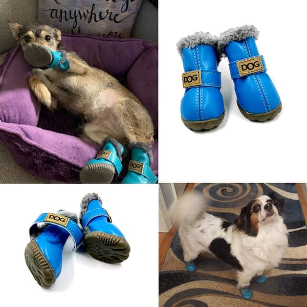 Hund Snökängor Vattentäta och Halkfria Hundskor med Päls Krage