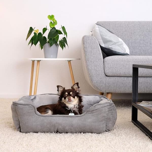Hundekurv 2-i-1 Hundeseng Vendbar Pude (S) 60x50 cm Grå