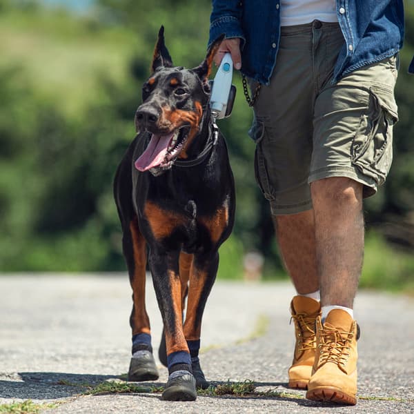 Skyddande hundskor, 4 st andningsbara hundskor med reflexband och halkfria sulor