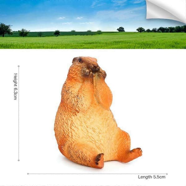 4x Murmeldyr Actionfigurer Pedagogisk Leke for Barn Festgaver Gutter Jenter