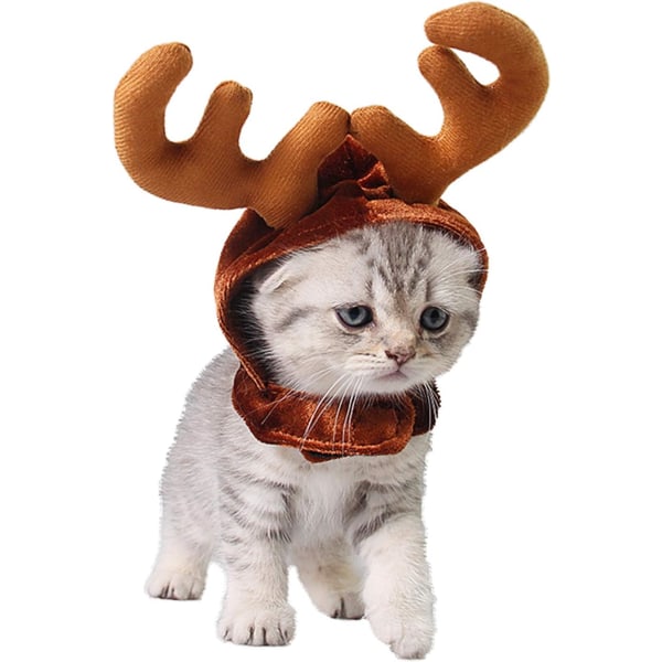 Jultomtekostym för katt med flätad hatt Djurkostym för katt