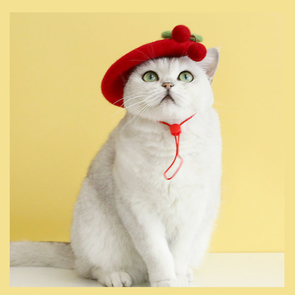 ##/Søt katt og hund beret med ullkirsebærdekorasjon for liten katt og valp##/
