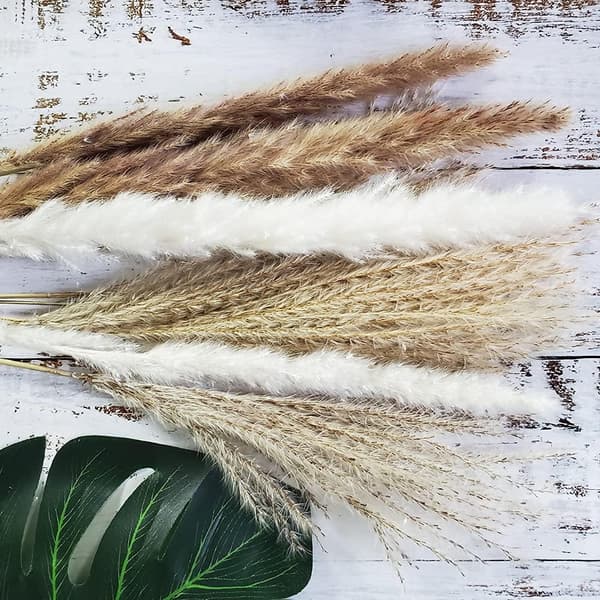 75 stykker | 20 stk. hvide pampas og 20 stk. brune pampas og 35 stk.