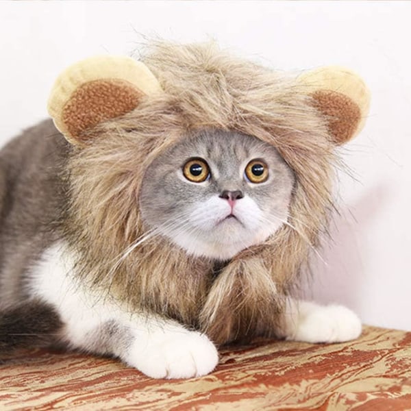 Lejonmanekattkostym, (M) Hundekatt Halloween Party Cosplay Kostym