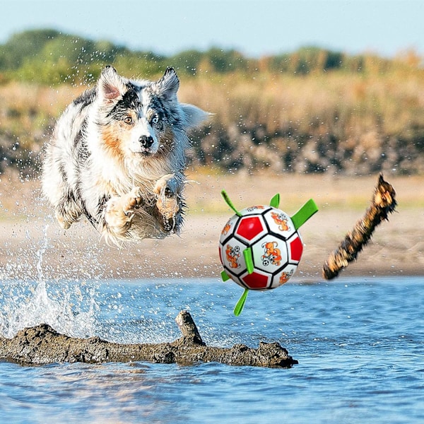 Hundleksaker, Hundleksaker, Hundbollar, LZHDZQD Hundfotboll för 2022 Foo