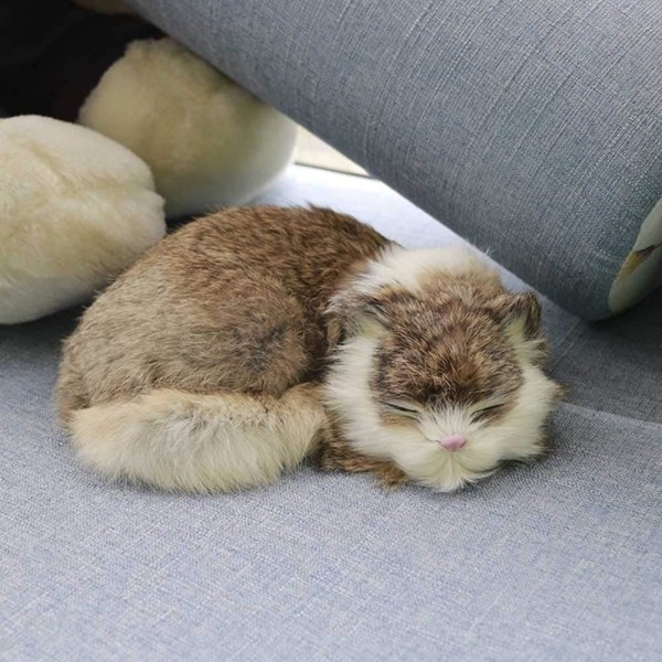 Realistk Katt Liv Sovende, Katt Myk Leke, Falsk Plysj Leke, Falsk