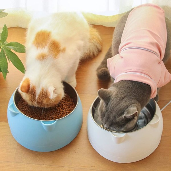 Blå kattmatskålar, 200ML Rostfritt Stål Djurskål, Anti-Kräkningskatt