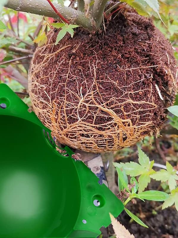 14 stk. planteforplantningsboks, podeboks, høy