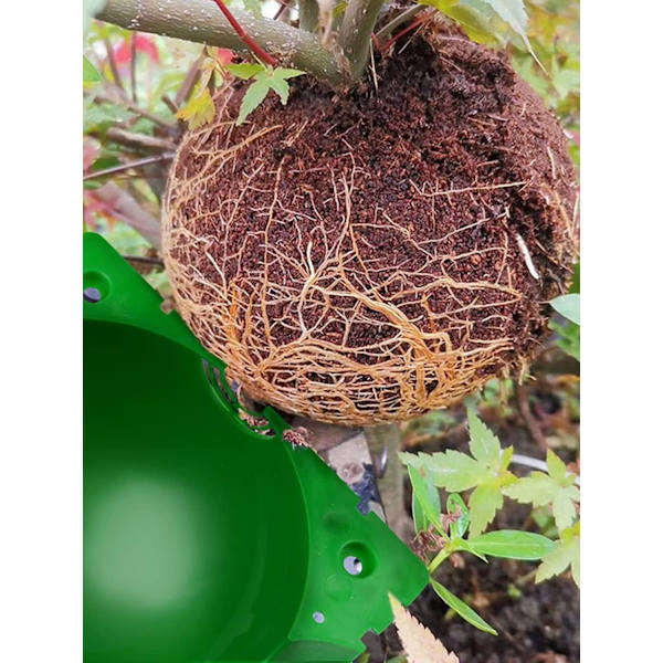14 stycken Plant Rooting Box Propagation Balls, Ympningslåda Hög