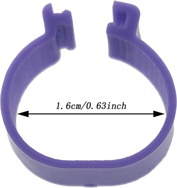 16mm Kylling ID-Bånd 100 stk 16mm Tilfeldige Farger Plast Fjørfe Chi