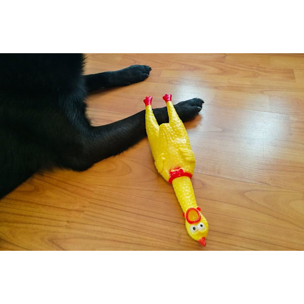 Middels Holdbar Firebeint Kvitrende Kylling Gummi Kylling Hundeleke