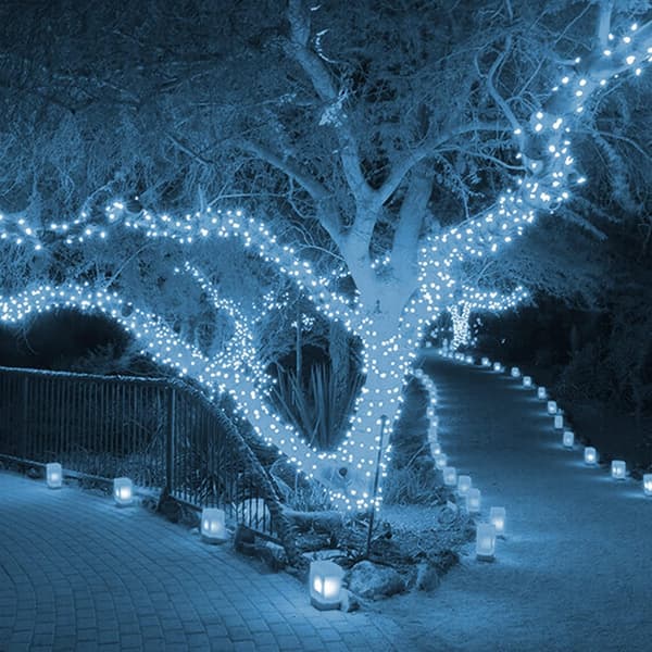 Julelys, LED lyskæde, 100M 800 LED blinkende lys 8 tilstande