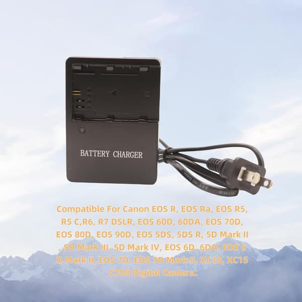 Laddare för Canon 60D 80D 5D III 6DII 7D LC-E6E Batteri