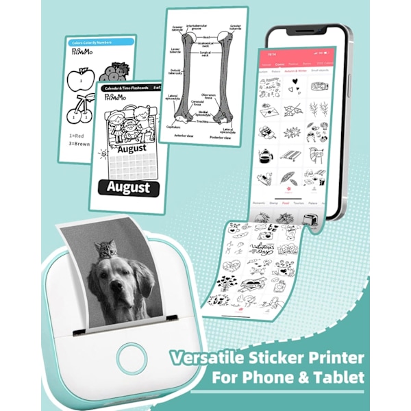 Bærbar Termisk Printer Blækfri Bluetooth Sleeve Printer Til Læring af Grafik, Anatomiske Diagrammer, Fotosgrøn