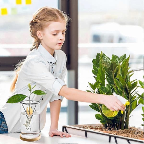 Avocado Doodling Kit - Glasvas och Bambubas för Enkel Frögroning och Rotvisning
