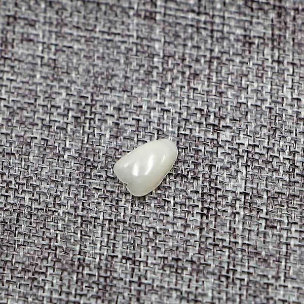 50 st Tandprovisoriska Kronor Resin Porslinsmaterial Främre Tänder Molarer as show
