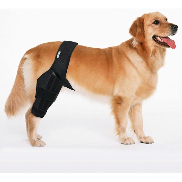 Knäskydd för hund, ACL-skydd för hund, bakben eller bakre ben, CCL-skydd för bakben (Storlek: M) GS Black Medium