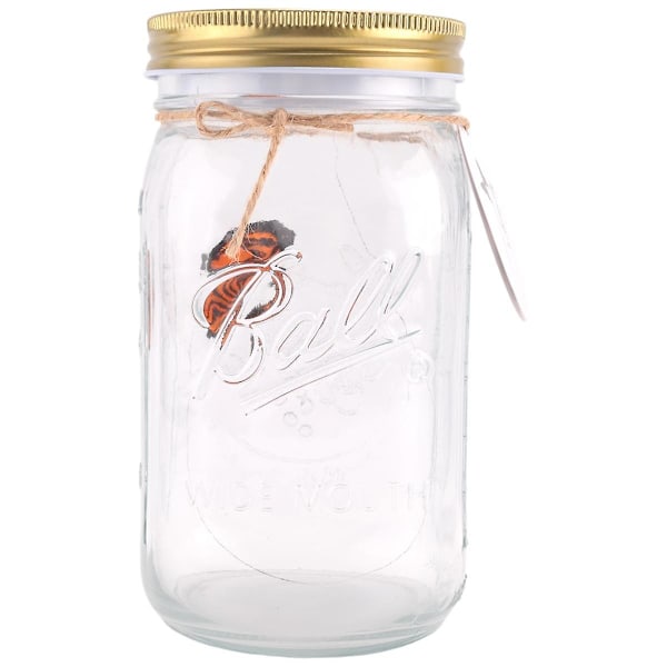 Simulation Butterfly Collection in a Jar, Butterfly Jar That Moves, LED Light Romantic Glass Animat