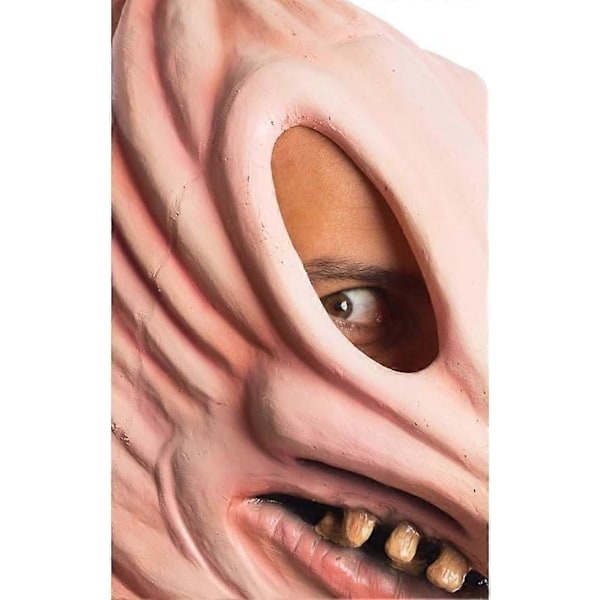 Kostym Mask för Män - Beetlejuice Adam