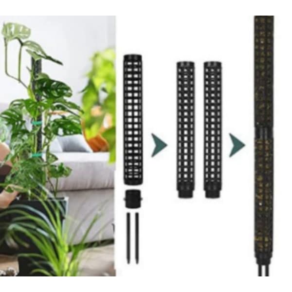 Mosepinner for klatreplanter Svart