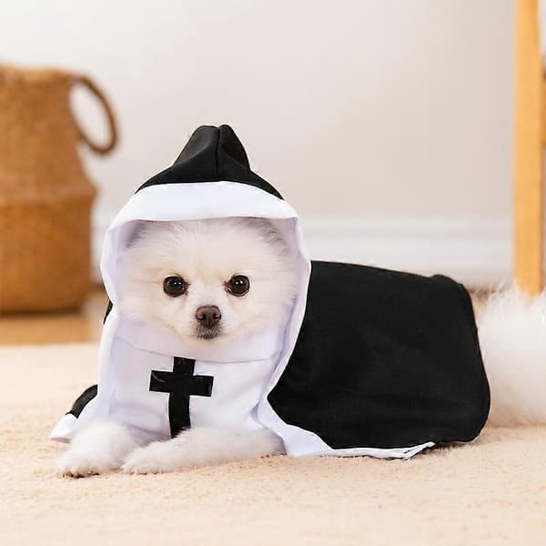 Halloween-nonnekostymer for hunder og valper S