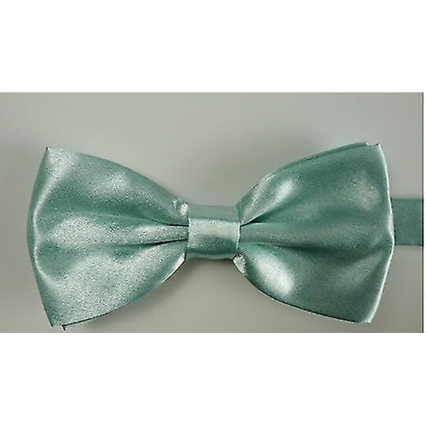 Tuxuan Dusty Sage Wedding Bow Tie-mxbc