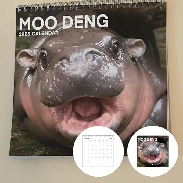 Ny Moo Deng Kalender | 2025 Kalender Internetberømthed flodhest moderne kalender