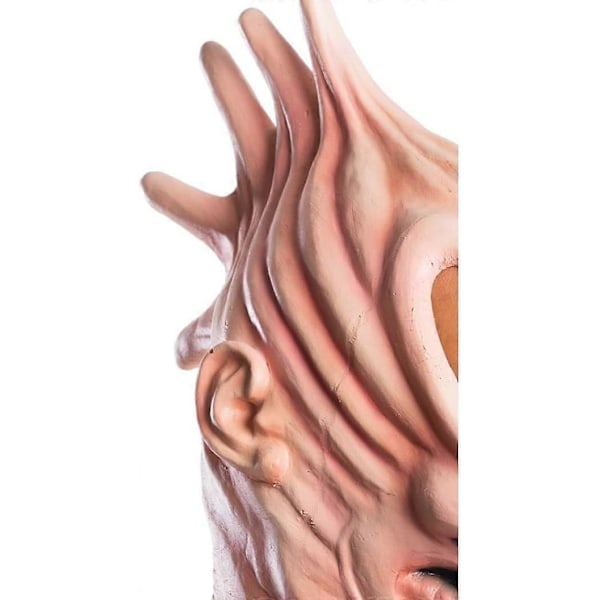 Kostym Mask för Män - Beetlejuice Adam