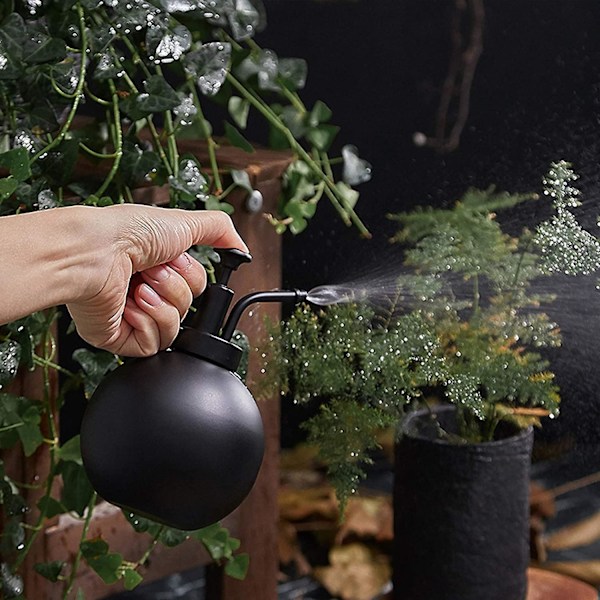 Rostfri Vattenspruta Växt Mister Dekorativ Sprayflaska Pump Enhands Vattenkanna Modern Stil Växt Spritzer