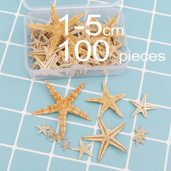 100 st DIY naturliga sjöstjärnor skal strandhantverk för strandbröllopsdekoration