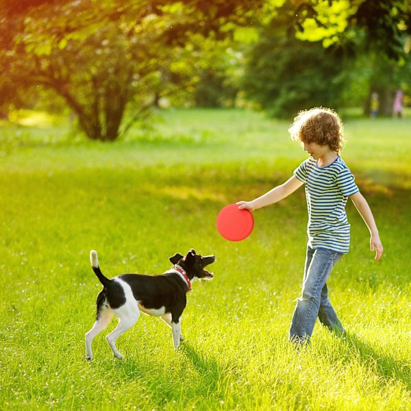 12 färgglada frisbees för barn och hundar - 23cm - robusta och stabila - perfekta för utomhuslek och stranden